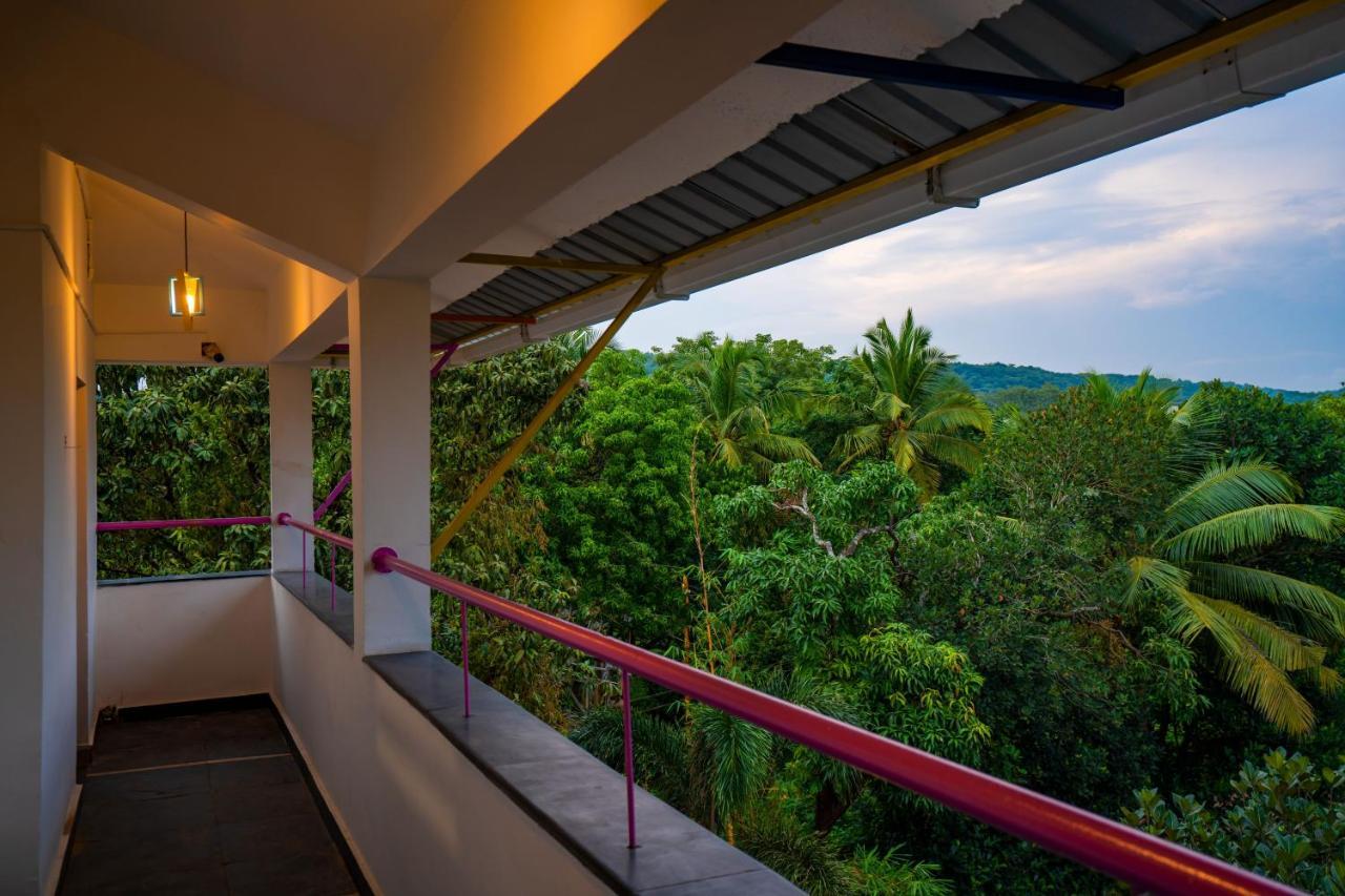 Gostops Plus Goa Vagator Vieux-Goa Extérieur photo